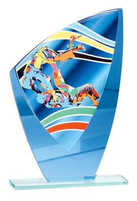 Trophée Verre Judo 66208
