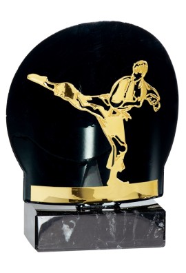 Trophée Métal Karaté FX08