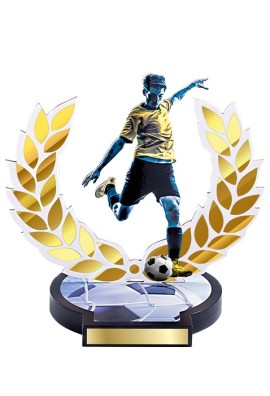 Trophée Bois Football 56504