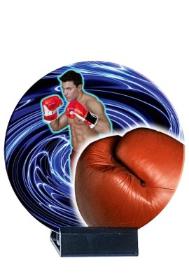 Trophée Céramique Boxe B03