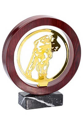 Trophée Bois Métal Judo JX04