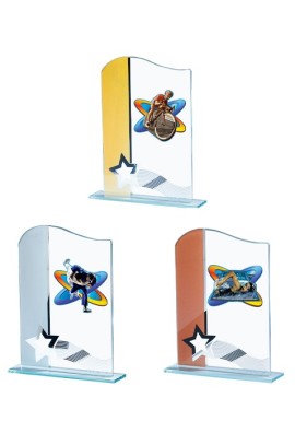 Trophée Verre Personnalisé 124-11-BJ
