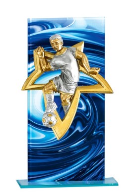 Trophée Verre Personnalisé 129-31-NJ