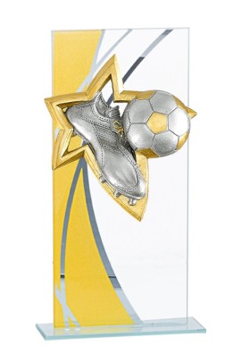 Trophée Verre Personnalisé 130-61-NJ