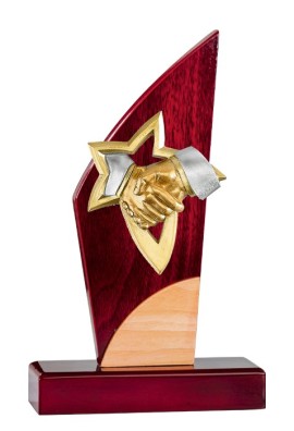 Trophée Bois Personnalisé 130-21-NJ