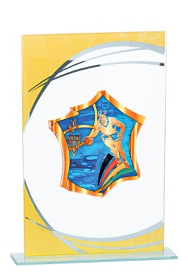 Trophée Verre Personnalisé 132-31-KW