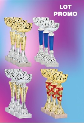 Lot de 12 Coupes : 2025-1