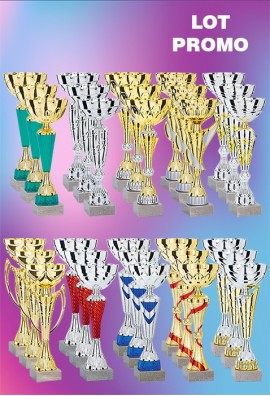 Lot de 30 Coupes : 2025-8