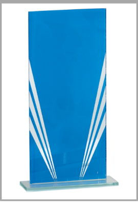 Trophée Verre Personnalisé 123-41-BJ