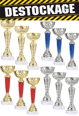 Lot de 12 Coupes : 2022-216