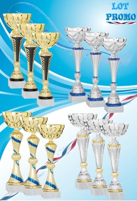 Lot de 12 Coupes : 2022-3