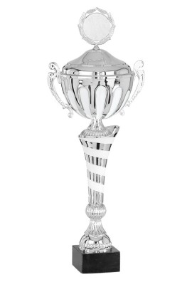 Coupe Personnalisée Métal : 4212DEW-C