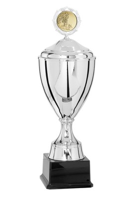 Coupe Personnalisée Métal : 4401W-C