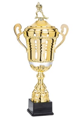 Coupe Personnalisée Métal : 6831W-D