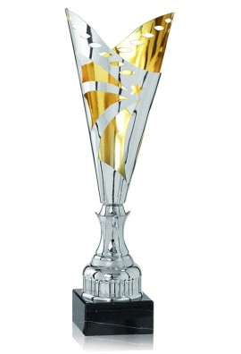 Coupe Laser Métal : 3841