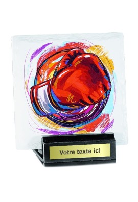 Trophée Boxe45107