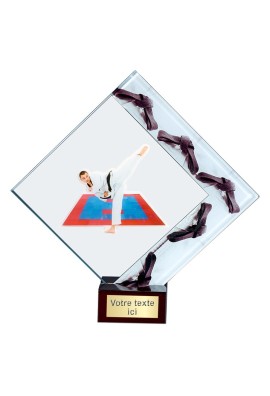 Trophée Judo 14105-MJ37