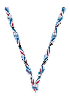 Ruban Médaille  Natation  : 7076