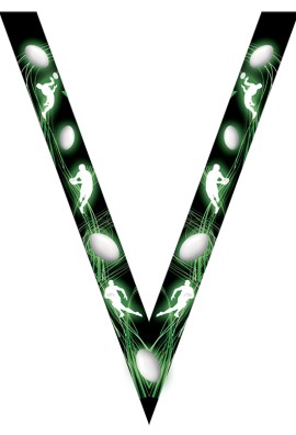 Ruban Médaille  Rugby  : 7069