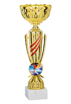 Coupe Personnalisée Métal : 2253-C