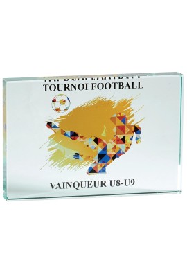 Trophée Verre Personnalisé 153-21-SU