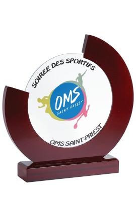 Trophée Verre & Bois Personnalisé 156-81-SU