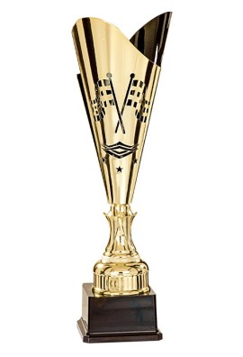 Coupe Laser Métal Automobile  : 35501