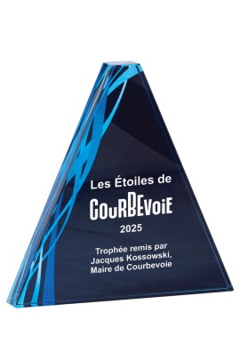 Trophée Verre Personnalisé 165-41-CLI