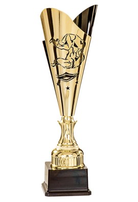 Coupe Laser Métal Judo  : 35510-1