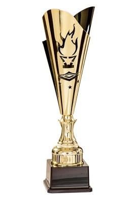 Coupe Laser Métal Flambeau  : 35514