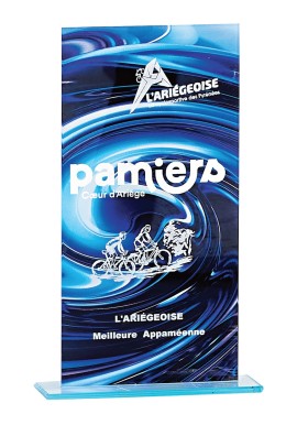Trophée Verre Personnalisé 160-31-LO