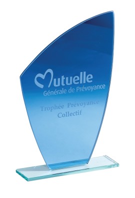 Trophée Verre Personnalisé 162-01-LO