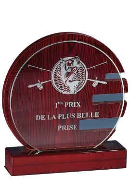 Trophée Verre & Bois Personnalisé 163-11-LO