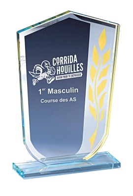 Trophée Verre Personnalisé 173-51-LO