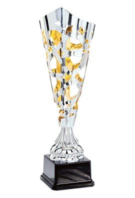 Coupe Laser Métal : 3761