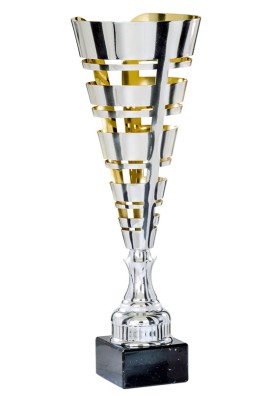 Coupe Laser Métal : 3871