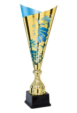 Coupe Laser Métal : 3881