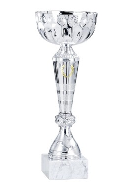 Coupe Économique Métal : 1511