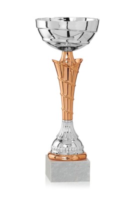 Coupe Économique Métal : 1901