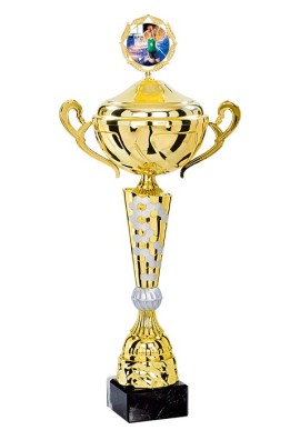 Coupe Personnalisée Métal : 4181W-C