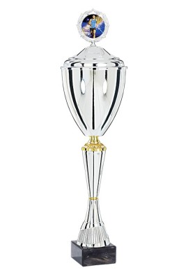 Coupe Personnalisée Métal : 4221W-C