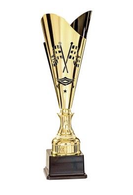 Coupe Laser Métal Automobile  : 35501