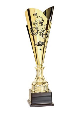 Coupe Laser Métal Cyclisme  : 35505