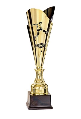 Coupe Laser Métal Football  : 35509