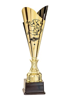 Coupe Laser Métal Judo  : 35510-1