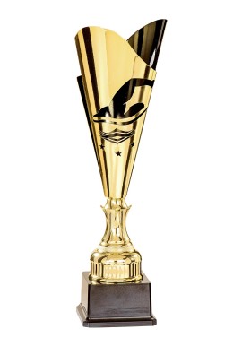 Coupe Laser Métal Natation  : 35511-1