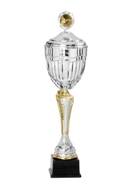 Coupe Personnalisée Métal : 4212DEW-C