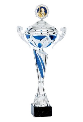 Coupe Personnalisée Métal : 4381W-C