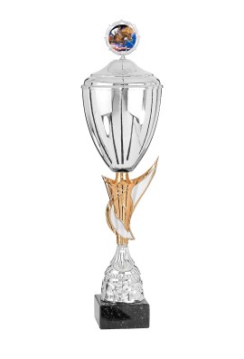 Coupe Personnalisée Métal : 4901W-C