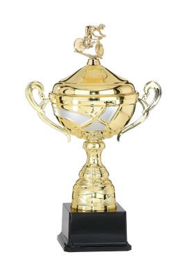 Coupe Personnalisée Métal : 4911W-D